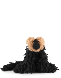 Russell the Saki Monkey