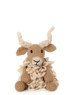 Tracy the Racka Sheep