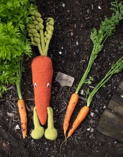 Winter-Spring Veg Bundle