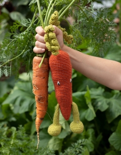 Carrot