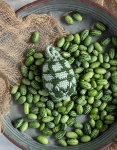 Cucamelon