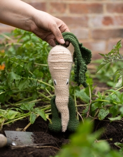Parsnip