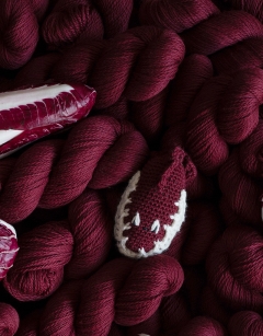 Radicchio