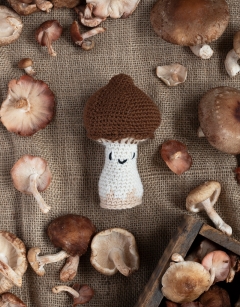Shiitake Mushroom