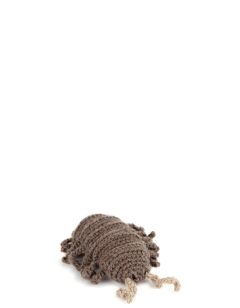 Algernon the Woodlouse