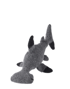 Troy the Hammerhead Shark