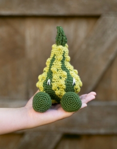 Striped Warty Gourd
