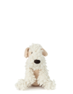 Valentine the Wheaten Terrier