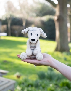 Gemma the Whippet