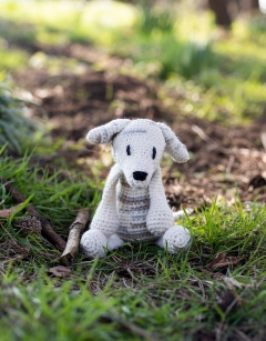 Gemma the Whippet