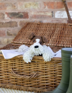 Brandon the Wire Fox Terrier