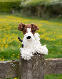 Brandon the Wire Fox Terrier