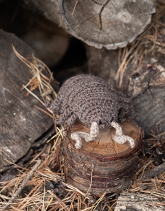 Algernon the Woodlouse