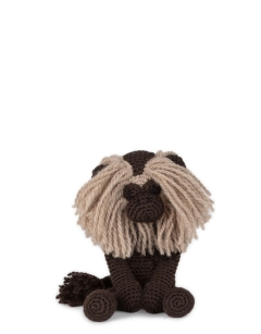 Yvonne the Lion Tailed Macaque